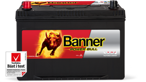 Banner Power Bull 12v 95Ah