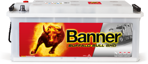 Banner Buffalo Bull 12v 170Ah